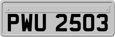 PWU2503