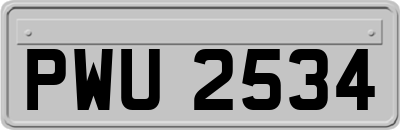 PWU2534