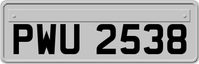 PWU2538