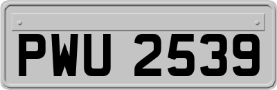 PWU2539