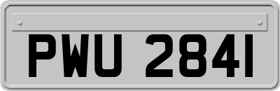 PWU2841