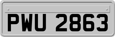 PWU2863