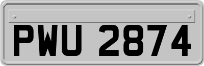 PWU2874