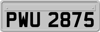 PWU2875