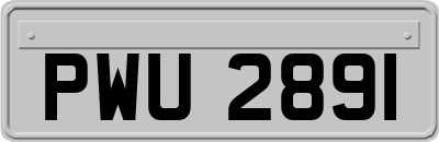 PWU2891