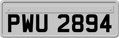 PWU2894