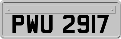 PWU2917