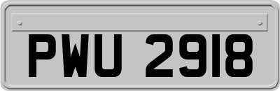 PWU2918