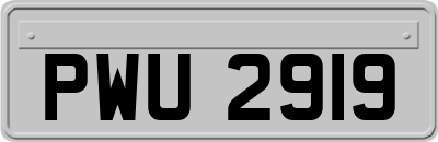 PWU2919