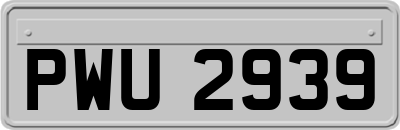 PWU2939