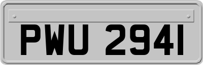 PWU2941