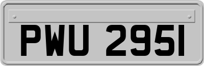 PWU2951