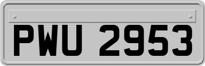 PWU2953