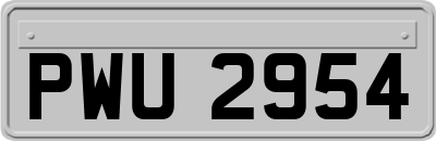 PWU2954