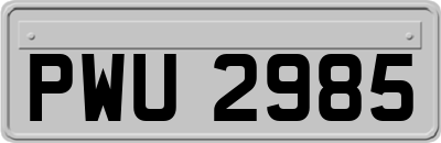 PWU2985