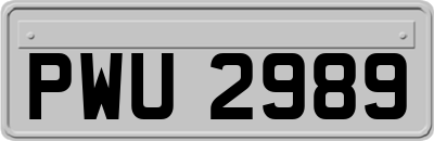 PWU2989