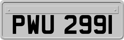 PWU2991