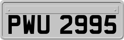 PWU2995