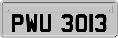 PWU3013