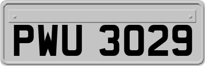 PWU3029