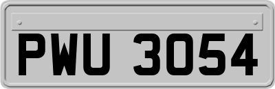 PWU3054