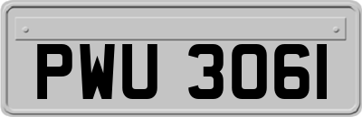 PWU3061