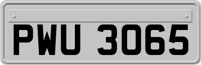 PWU3065