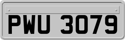 PWU3079