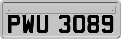 PWU3089