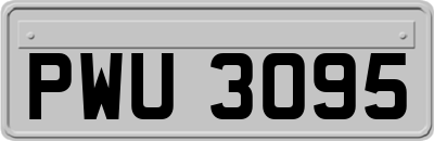 PWU3095