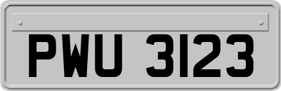 PWU3123