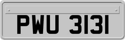 PWU3131