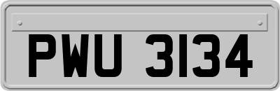 PWU3134