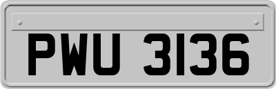 PWU3136