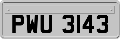 PWU3143