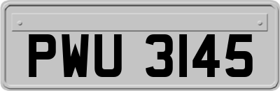 PWU3145