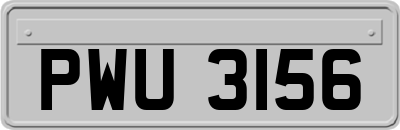 PWU3156