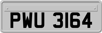 PWU3164