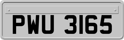 PWU3165