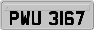 PWU3167