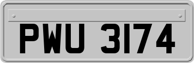 PWU3174