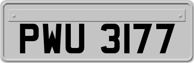 PWU3177