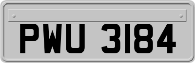 PWU3184