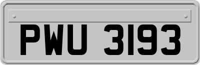 PWU3193