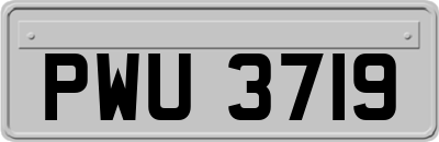 PWU3719