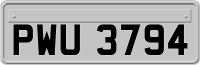 PWU3794