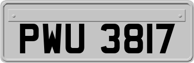 PWU3817