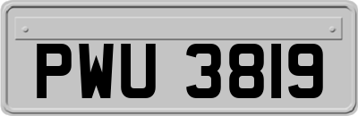 PWU3819