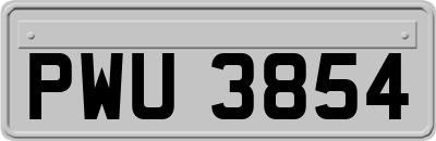 PWU3854