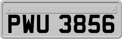 PWU3856